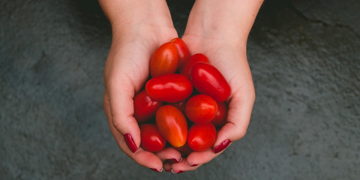 rafael-correa-HDbIauZbBzs-unsplash